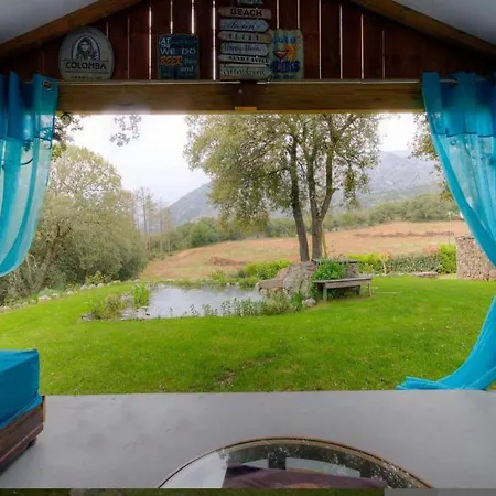 Accueillant à 30 M² Avec Terrasse Et Jardin Appartamento Moltifao