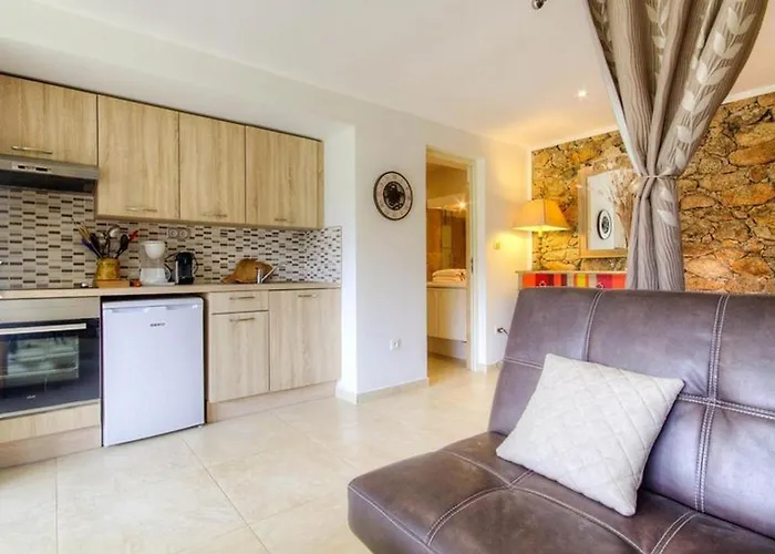 Accueillant à 30 M² Avec Terrasse Et Jardin Moltifao