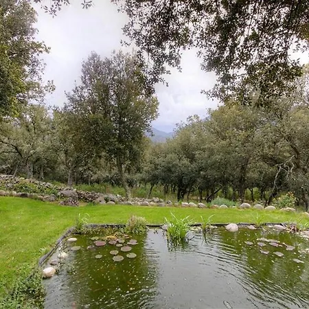 Accueillant A 30 M² Avec Terrasse Et Jardin