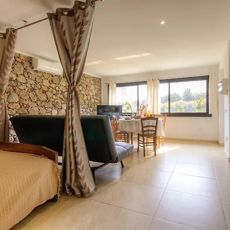 Accueillant A 30 M² Avec Terrasse Et Jardin