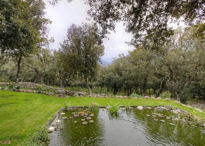 Accueillant A 30 M² Avec Terrasse Et Jardin