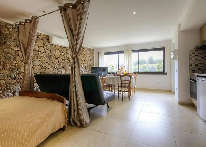 Apartamento Accueillant A 30 M² Avec Terrasse Et Jardin Moltifao