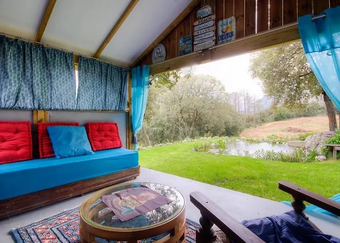 Accueillant A 30 M² Avec Terrasse Et Jardin