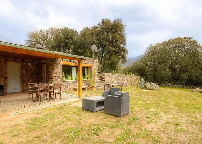 Accueillant A 30 M² Avec Terrasse Et Jardin Moltifao